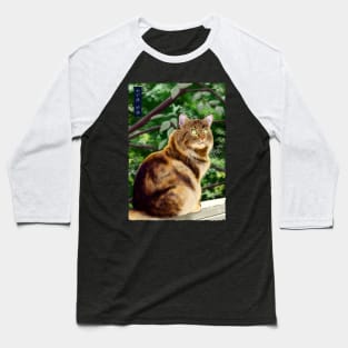 Maine Coon - Black Baseball T-Shirt